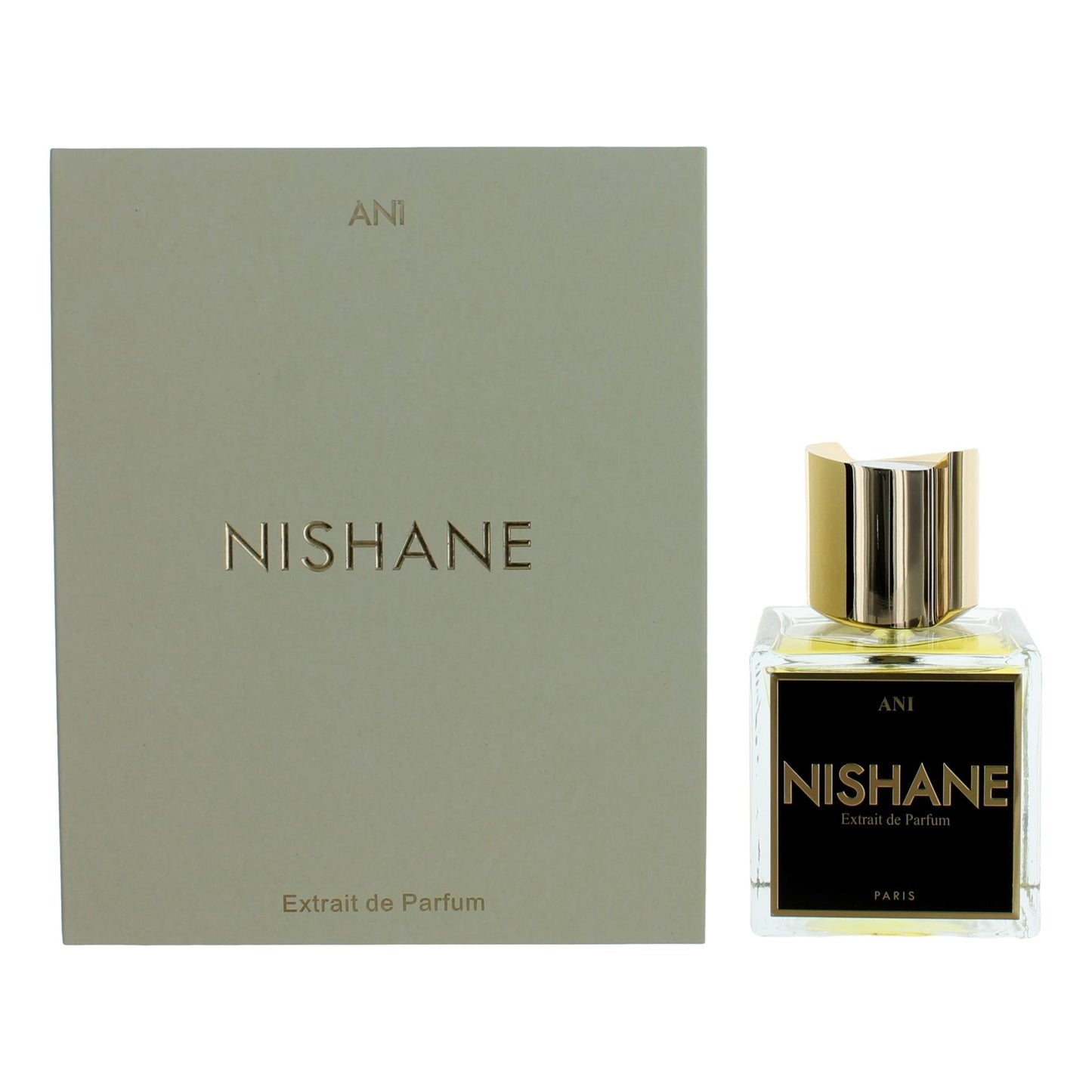 Nishane – Nishane Ani Extrait de Parfum Spray for Unisex (3.4 oz) product image