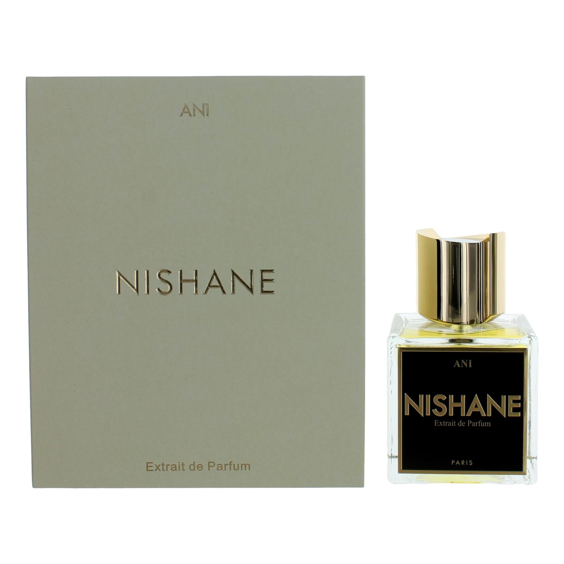 Nishane – Nishane Ani Extrait de Parfum Spray for Unisex (3.4 oz) product image